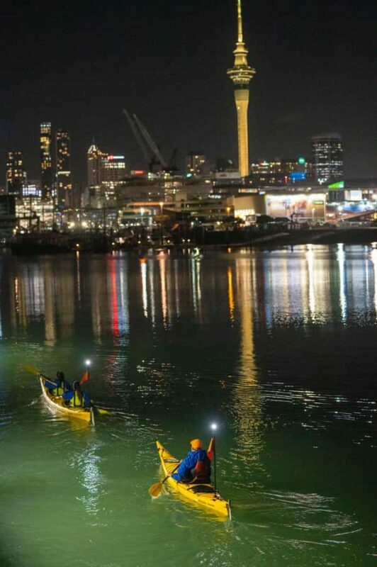 Auckland: City Lights Night Kayak Tour - What Makes This Tour Special?