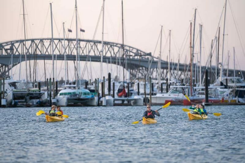 Auckland: City Lights Night Kayak Tour - What Our Reviewers Say