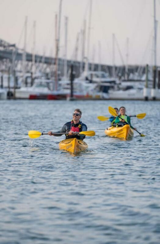 Auckland: City Lights Night Kayak Tour - FAQ