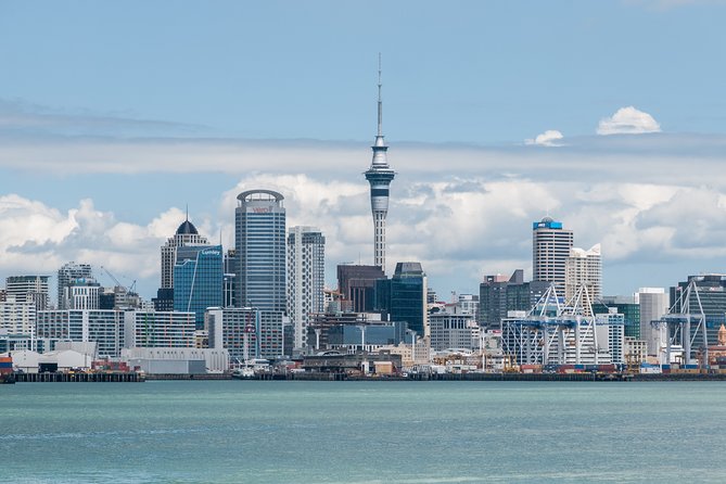 Auckland City & Native Forest Experience - Fully Guided Day Tour - Itinerary