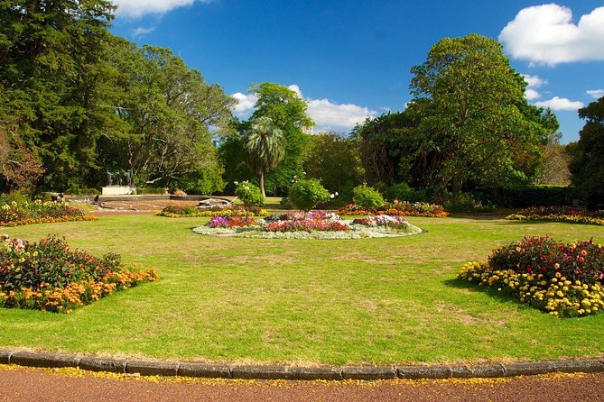 Auckland City & Native Forest Experience - Fully Guided Day Tour - Accessibility and Requirements
