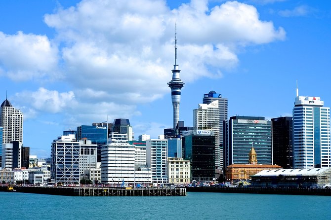 Auckland City & Native Forest Experience - Fully Guided Day Tour - Group Size and Cancellation