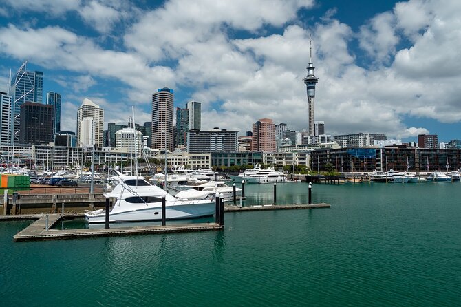Auckland City Of Sails Half Day Tour - Private Transportation