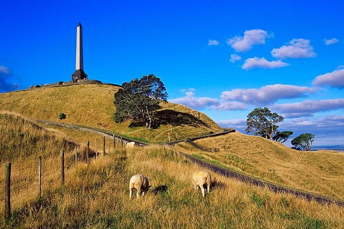 Auckland City Private Tour for Couples. Be Chauffeur Driven With Added Extras. - Accessibility and Participation