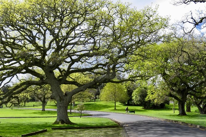 Auckland City Private Tour for Couples. Be Chauffeur Driven With Added Extras. - Pricing and Booking Information