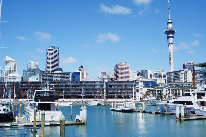 Auckland City Private Tour for Couples. Be Chauffeur Driven With Added Extras. - Couples Chauffeur-Driven Adventure