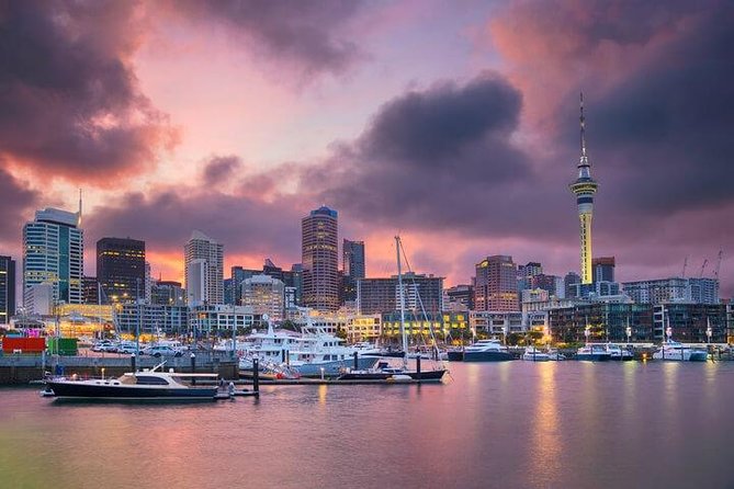 Auckland City Scenic Tour - Accessibility Information