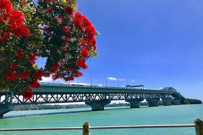 Auckland City Scenic Tour - Tour Participation Details