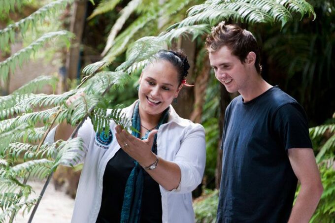 Auckland City & West Coast Luxury Tour - Driving Through Auckland