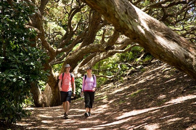 Auckland City & West Coast Luxury Tour - Exploring Devonport Village