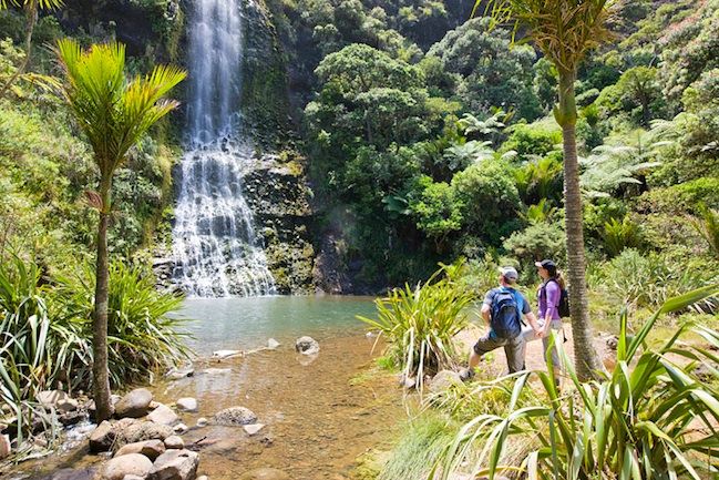 Auckland City & West Coast Luxury Tour - Nature and Coastal Experiences