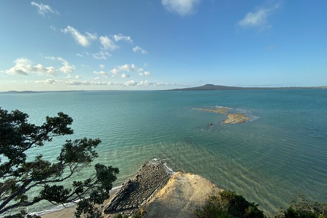 Auckland Coastal Discovery - Private Tour Incl. Wine Tasting - Transportation and Amenities