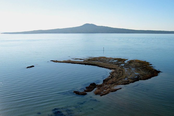Auckland Coastal Experience - Small Group City & Beach Tour Incl. Wine Tasting - Itinerary Highlights
