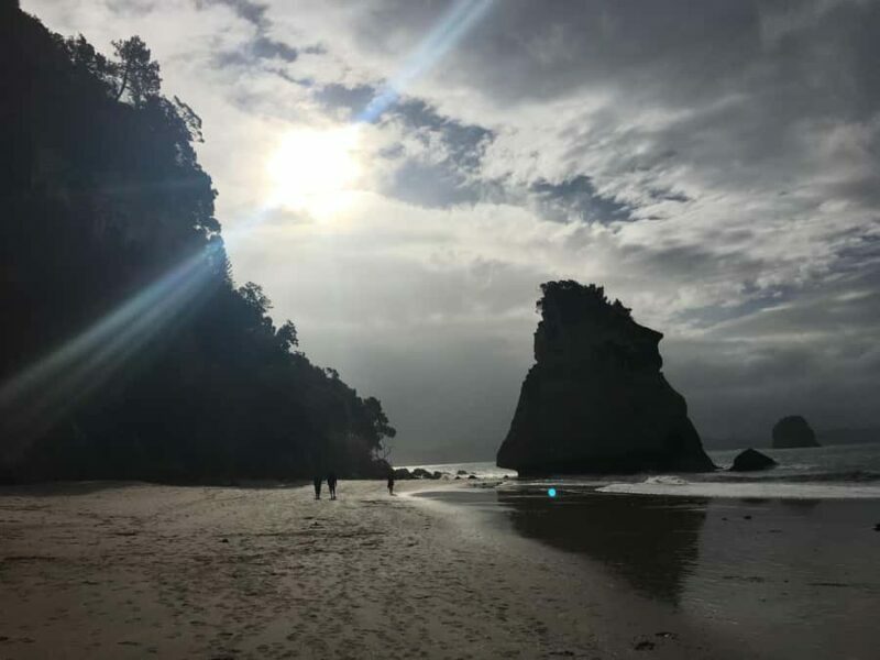 Auckland: Coromandel Day Tour including Hot Water Beach - A Practical Look at the Tour Experience