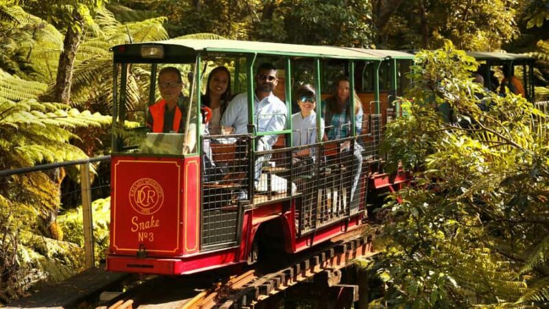 Auckland: Coromandel Driving Creek & Cathedral Cove Day Tour - A Closer Look at the Tour