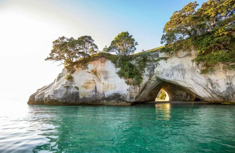 Auckland: Coromandel Driving Creek & Cathedral Cove Day Tour - What Travelers Say