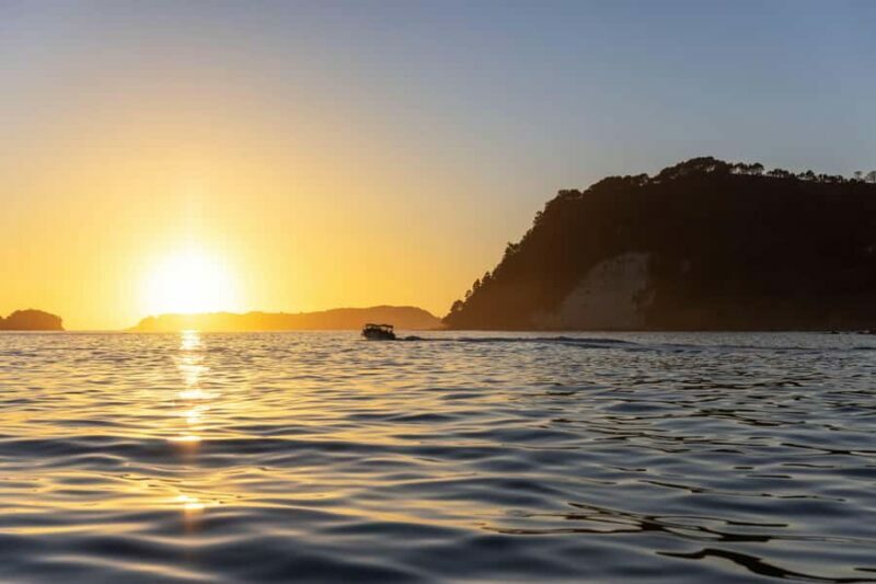 Auckland: Coromandel Driving Creek & Cathedral Cove Day Tour - Final Thoughts
