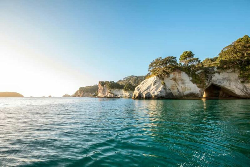Auckland: Coromandel Driving Creek & Cathedral Cove Day Tour - FAQ
