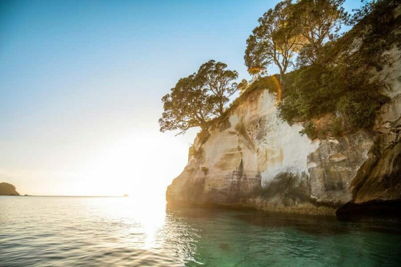 Auckland: Coromandel Driving Creek & Cathedral Cove Day Tour - Final Words