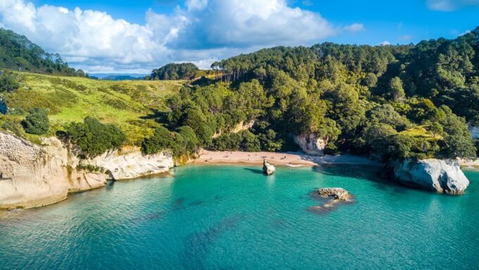 Auckland: Coromandel Peninsula & Hot Water Beach Tour - Ratings