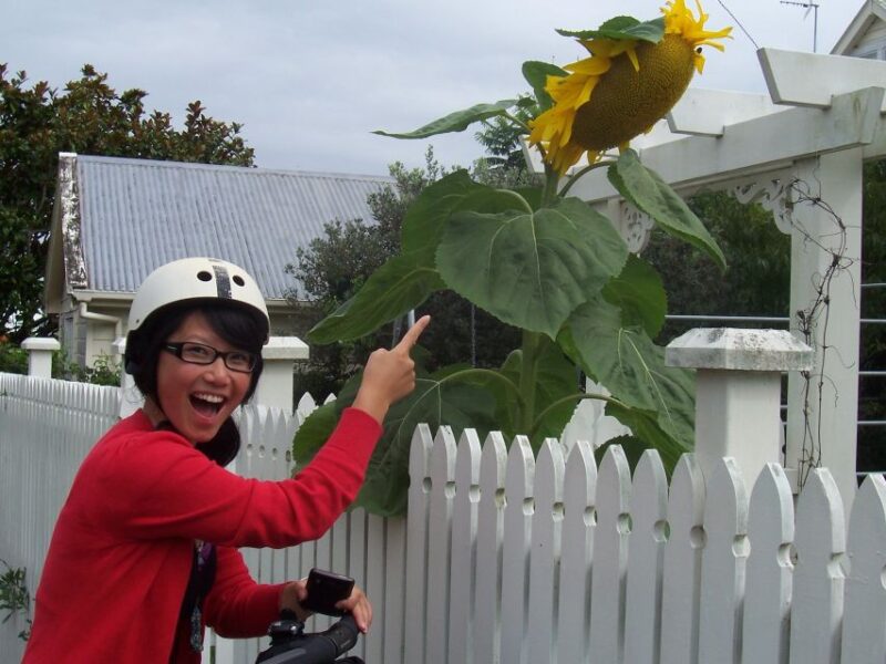 Auckland: Devonport Village Segway Tour - Segway Riding Instruction