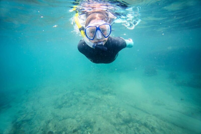 Auckland: Guided Snorkeling and Island Exploration Tours - Key Points