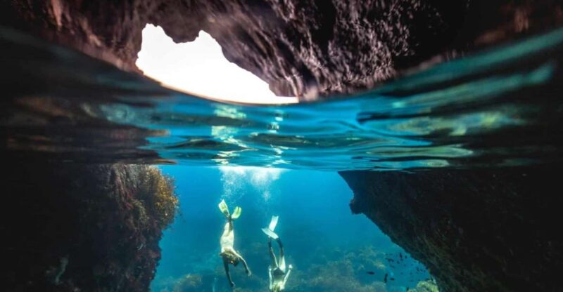 Auckland: Guided Snorkeling and Island Exploration Tours - Tour Itinerary and Locations