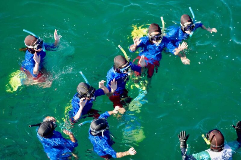 Auckland: Guided Snorkeling and Island Exploration Tours - Rotoroa Island Combo