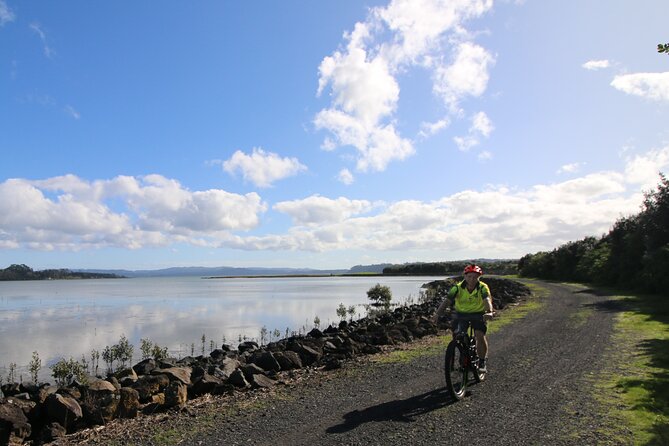 Auckland Half Day E-Bike Excursion - Inclusions