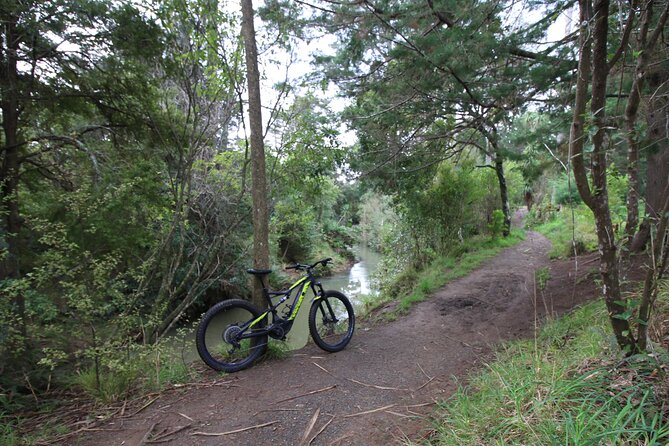 Auckland Half Day E-Bike Excursion - Participation Requirements