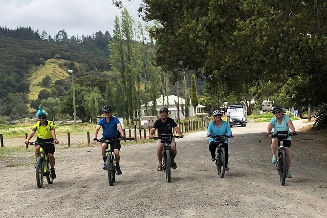 Auckland Half Day E-Bike Excursion - E-Bike Features