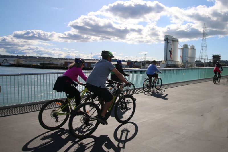 Auckland Half-Day Ebike Tour Excursion - Key Points