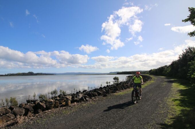 Auckland Half-Day Ebike Tour Excursion - Comfortable and Convenient Ride