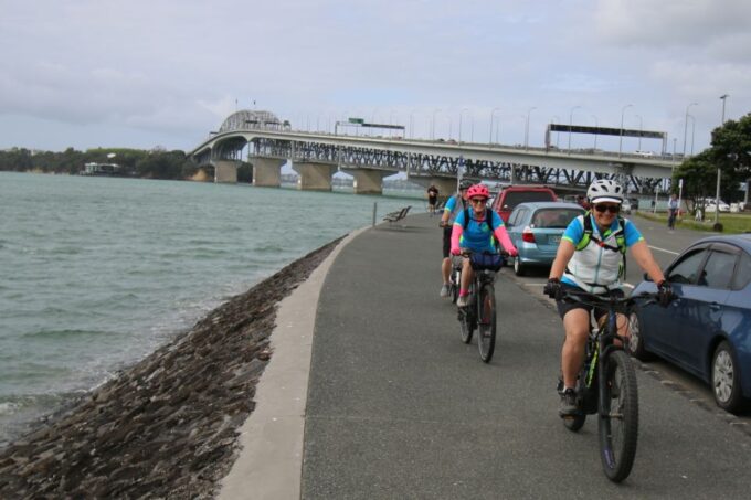 Auckland Half-Day Ebike Tour Excursion - Suitable for Various Travelers