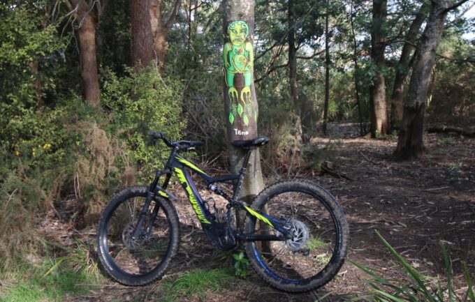 Auckland Half-Day Ebike Tour Excursion - Recap