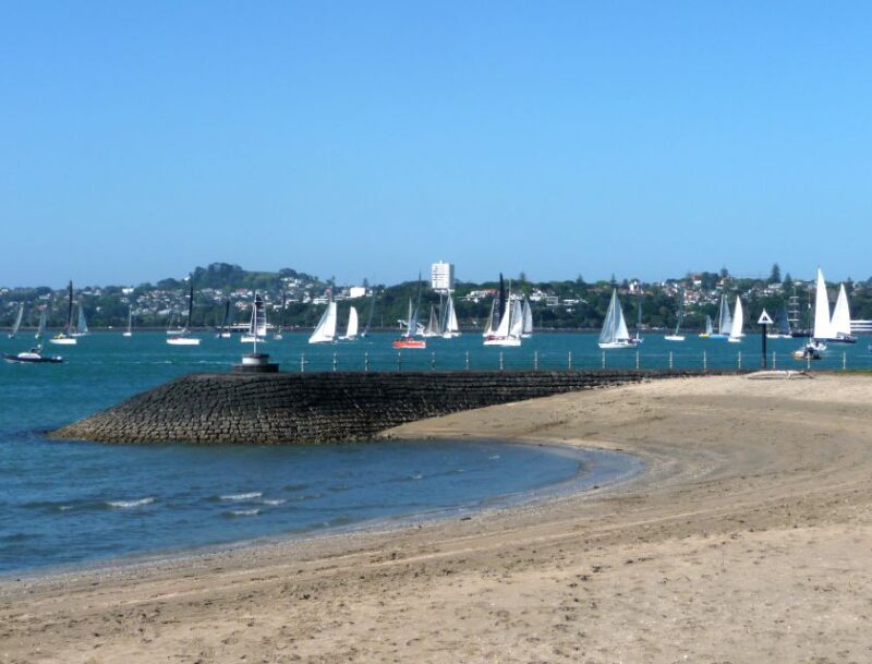 Auckland: Half-Day Private City Highlights Tour - Key Points