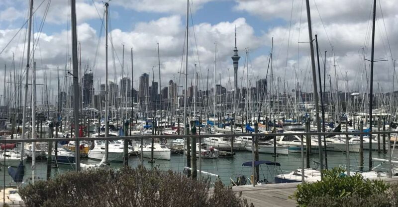 Auckland: Half-Day Private City Highlights Tour - Experience and Itinerary