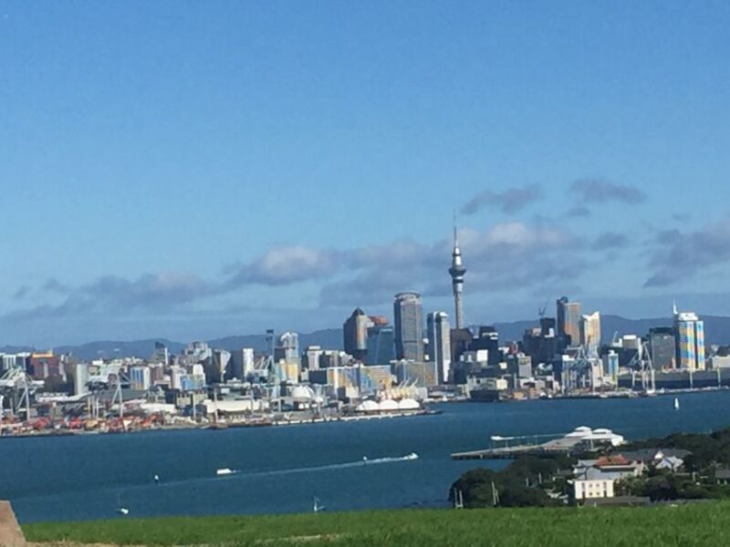 Auckland: Half-Day Private City Highlights Tour - Tour Highlights