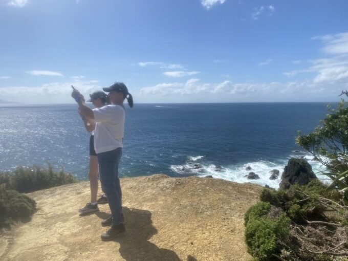 Auckland: Half-Day Private City Highlights Tour - Aucklands Volcanic Landscape