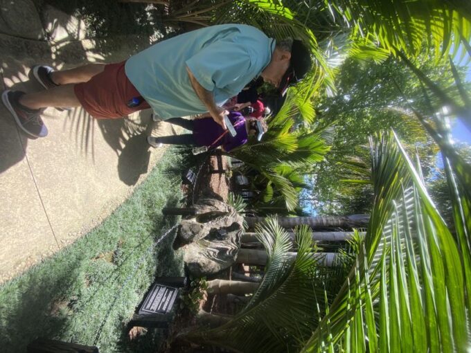 Auckland: Half-Day Private City Highlights Tour - Scenic Views and Panoramic Vistas