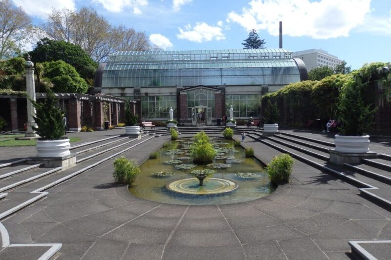 Auckland: Half-Day Scenic Sightseeing Tour - Transportation and Logistics