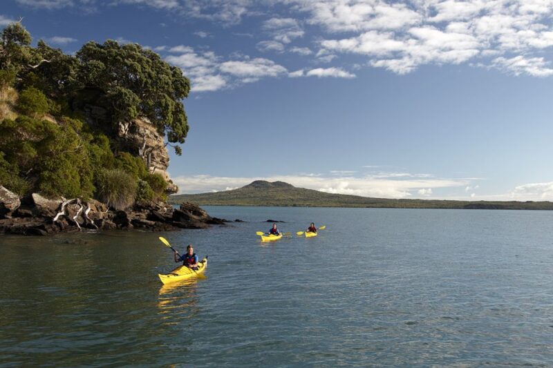 Auckland: Half-Day Sea Kayak Tour to Motukorea Island - Experience Highlights