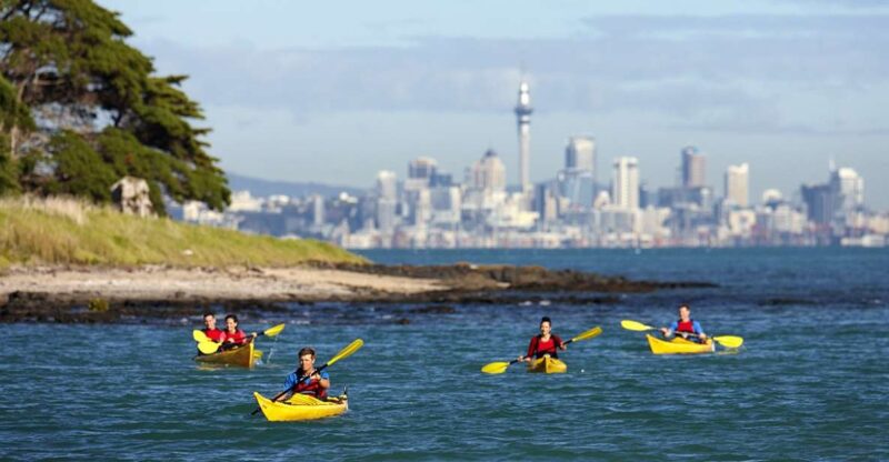 Auckland: Half-Day Sea Kayak Tour to Motukorea Island - Inclusions