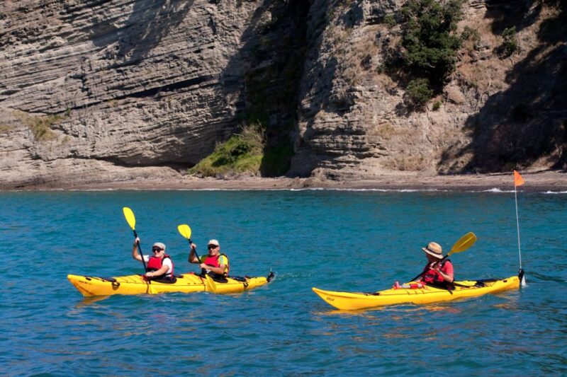 Auckland: Half-Day Sea Kayak Tour to Motukorea Island - Important Information