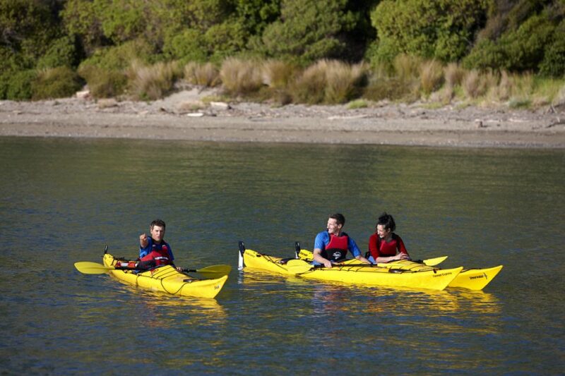 Auckland: Half-Day Sea Kayak Tour to Motukorea Island - Recommended Attire