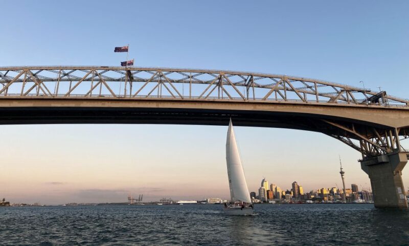 Auckland Harbour 3-Course Dinner Cruise With Welcome Drink - Dining Experience