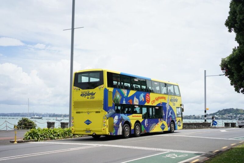 Auckland: Hop-On Hop-Off Explorer Bus Ticket - Red Inner Tour