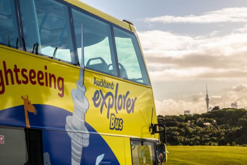 Auckland: Hop-On Hop-Off Explorer Bus Ticket - Customer Reviews