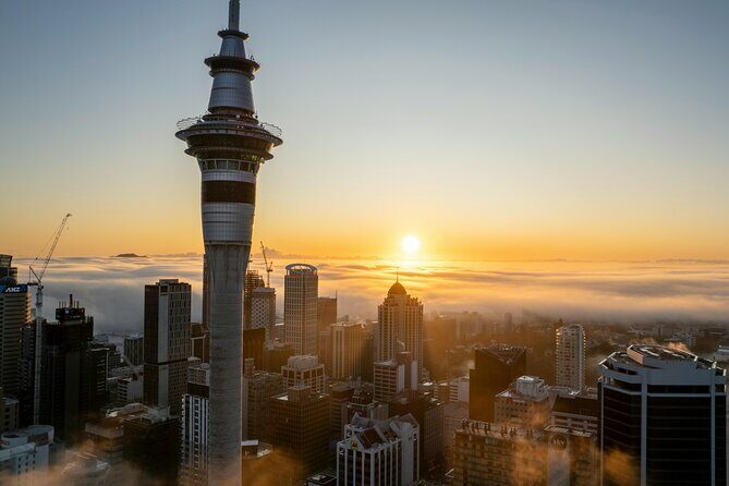 Auckland Museum and Highlight Sightseeing Tour - Key Points