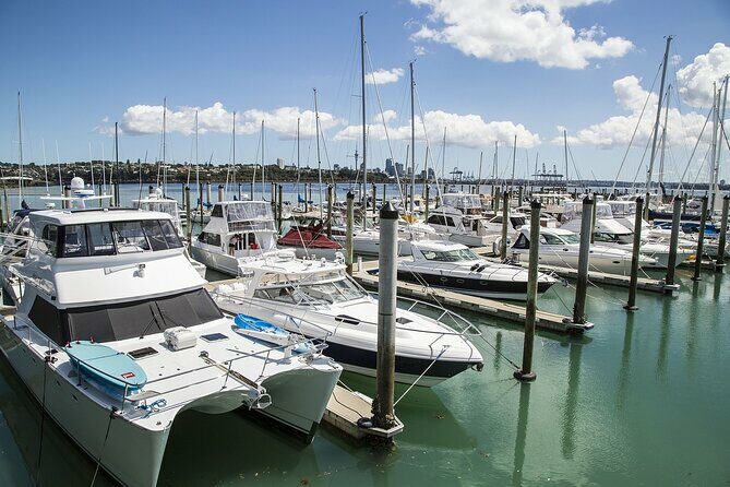 Auckland Museum and Highlight Sightseeing Tour - An Introduction to the Tour